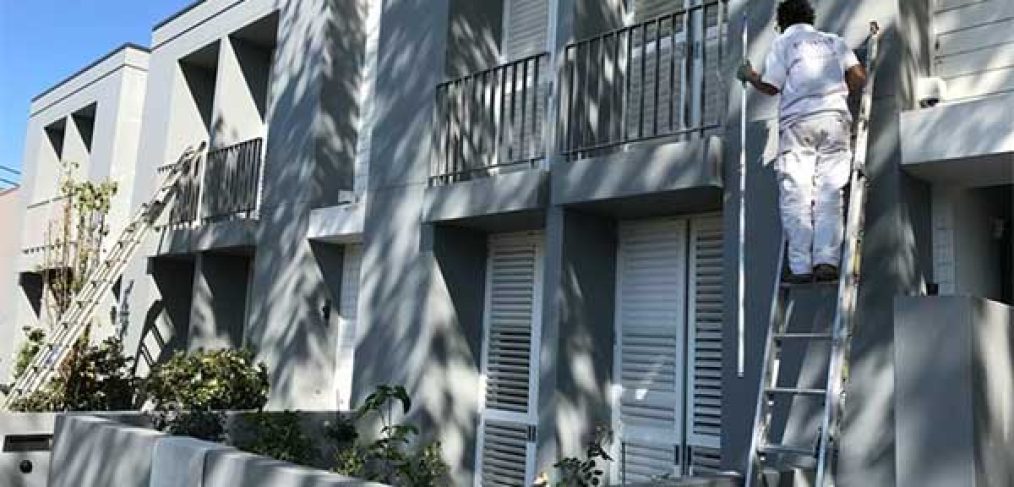 Painters at Work – Skilled team repainting windows and woodwork.