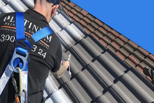 Roof Painting Sydney | Platinum Painting