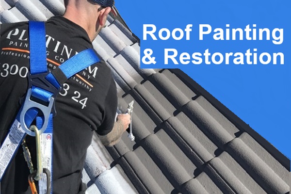 Roof Painting Sydney | Platinum Painting