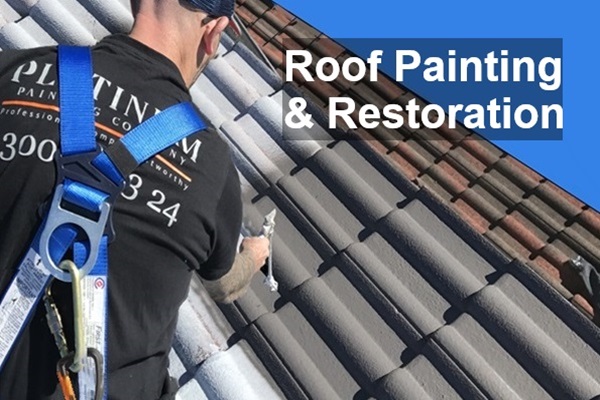 Roof Painting Sydney | Platinum Painting