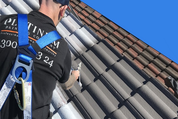 Roof Painting Sydney | Platinum Painting