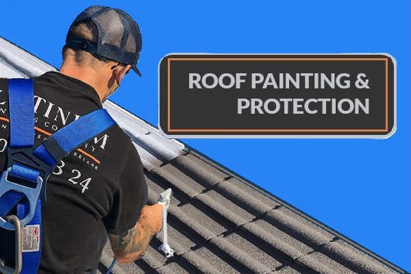 Roof Painting Sydney | Platinum Painting