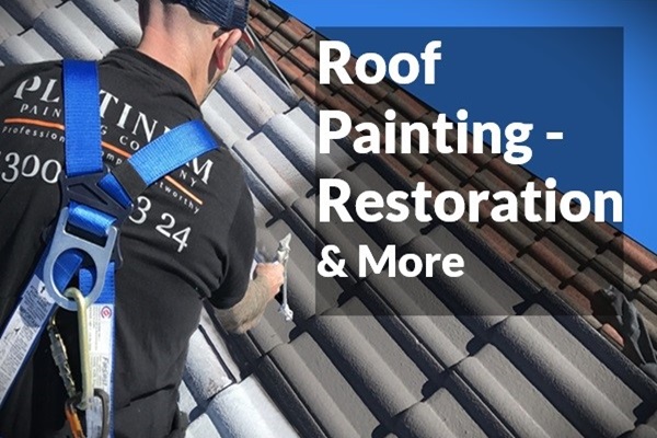 Roof Painting Sydney | Platinum Painting