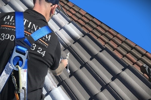 Roof Painting Sydney | Platinum Painting
